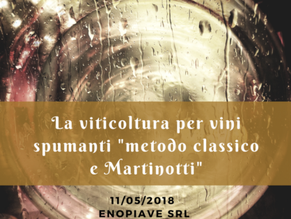 La viticoltura per i vini spumanti (Metodo classico e Martinotti)