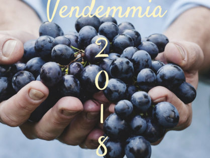 News dall'enologia - Servizio informativo Vendemmia 2018