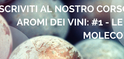 Gli aromi dei vini: #1 - Le basi molecolari