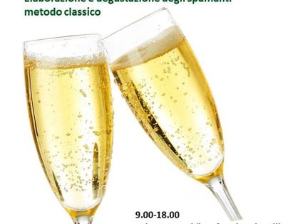 Elaborazione e degustazione degli spumanti metodo classico