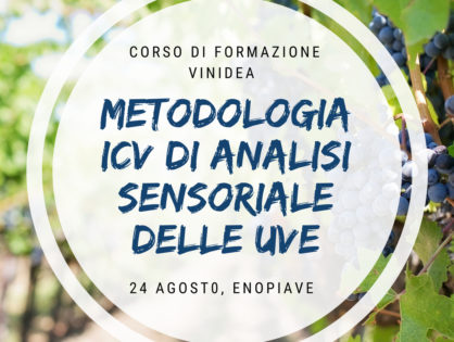 Metodologia ICV di analisi sensoriale delle uve – Modulo Metodica Applicata