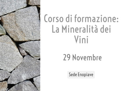 La mineralità dei vini